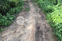 Đất vi bằng diện tích hơn 60m2 giá chỉ 350 triệu.