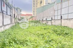 Cho thuê đất mặt tiền 7x55m đường nguyễn thị thập p. bình thuận quận 7