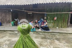 Cần tiền cắt lỗ mảnh 1311m2 sẵn thổ cư tại tả phìn sa pa