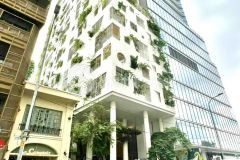 Tòa nhà mt đường phạm ngọc thạch, p6, q3, 11x23m 4 tầng, hđt 245trtháng, giá bán 165 tỷ tl