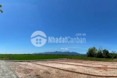 Cần bán 5 lô liền kề gần thị trấn ái nghĩa, sổ sẵn từng lô