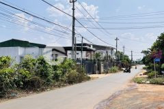 Đất biệt thự mặt tiền đỗ xuân hợp tân lợi