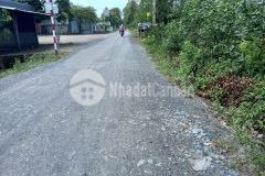 Bán 2,8hecta mặt tiền huyện lộ 40,tân hoà đông,tân phước,tiền giang.