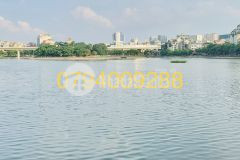 Hot biệt thự sân vườn mặt hồ hoàng cầu hon 200m2, 73 tỷ, trung tâm quận đống đa