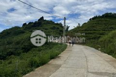 Cần tiền bán gấp 620m2 đất tả phìn, sa pa