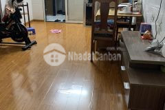 Cần bán căn hộ 2pn chung cư tây thạnh thang bộ lầu 1 quận tân phú. diện tích 58m2, thiết kế 2pn.