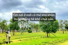 Bất động sản quảng ngãi lực hấp dẫn của một vùng đất mới