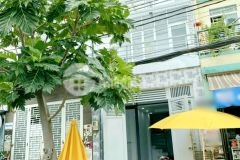Cho thuê nhà 1 lầu mặt tiền đường nhánh dương bá trạc p.1 quận 8