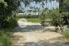 137m2 la bông hoà tiến đường 4m5 chính chủ thương lượng lh0935196248