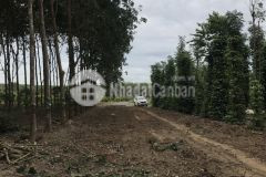 Bán 11000m2 sẵn 300m2 thổ tại brvt shr 8 tỷ. lh0911912868.