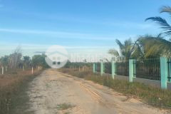 Đất gần biển 9000m đường số 1 rừng vàng xã tân bình thị xã lagi phủ hồng 12.5 tỷ