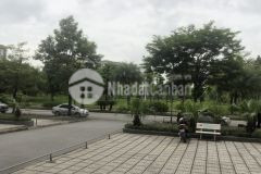 Chính chủ bán gấp căn hộ tầng 2 chung cư thanh hà cienco 5 chỉ 1,2 tỉ