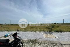 Kqh hói sen giá rẻ nhất thị trường 19 triệum2