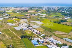 Đất biển sổ đỏ full thổ bình thuận rẻ nhất việt nam chưa bao giờ có