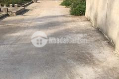 Giáng đông hoà châu đường betong 5m sát trục đường nhựa