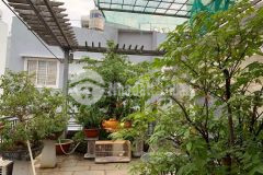Gấp gấp bán nhà trung tâm phú nhuận hxh