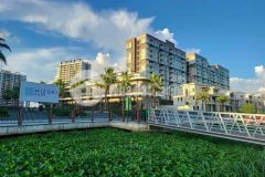 Cho thuê ch panorama mizuki căn 85m2 giá chỉ 9trth