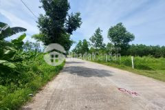 Đất hoà khương lô biệt thự nhà vườn 500m2 ngang 10m đường betong 7m5