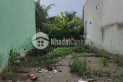 Đất thổ cư đường oto bình phong tân mỹ chánh