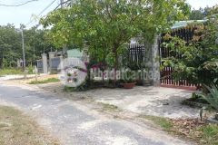 Tôi cần tiền bán gấp miếng đất mặt tiền đường giá 300 triệu