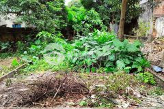 Bán đất 42m2 mt 4,5m hải bối đông anh gần thành phố thông minh, tiện ích đầy đủ 1,6 tỷ