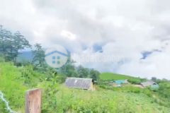 Cắt lỗ nhanh mảnh đất 1884m2 ở y tý, view săn mây siêu đẹp giá hạt rẻ