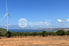 Hơn 4sào3 đồi cao view tứ hướng thuộc hòa thắng đường sỏi trước đất gía tốt