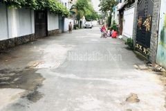 Bán nhanh nhà hiếm 52m2 4 tầng chỉ 5 tỉ nhỉnh