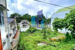 Đất nguyễn hữu cảnh phường 8, đà lạt thích hợp xây căn hộ kinh doanh