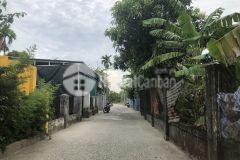 1.000 m2 đất vườn có 120 m2 đất ở, view ao cá và cánh đồng cực đẹp