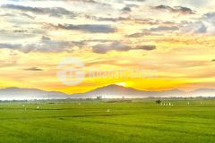 Đất vừa làm nhà vườn vừa có giá trị gia tăng