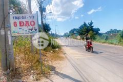 Đât thô cư biên vinh hao binh thuân truc đương 29m gia chi tư 750 triêu