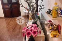 Bán gấp nhà tầng thấp tập thể đường sắt mặt phố ngọc khánh, dt 80m2, ba đình