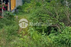 Chính chủ cần bán gấp lô đất 200m2,nguyễn văn khạ,củ chi,giá 550 triệu