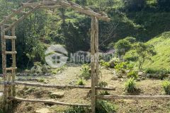 Bán nhanh mảnh đất ở sapa có diện tích 512m2 mặt tiền đường đi bản khoang