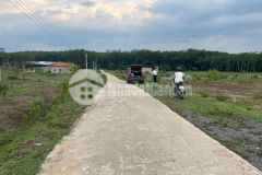 Bác quyên đang cần tiền bán gấp miếng đất thổ cư giá 291 triệu