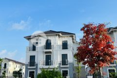 Bán biệt thự đơn lập căn góc, view công viên hồ điều hoà, trục thông, giá cho anh em đầu tư