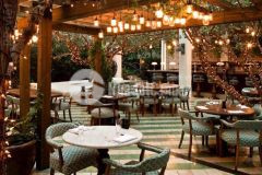 Cho thuê nhà sân vườn đẹp, đã decor sẵn chỉ vào kinh doanh