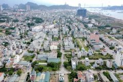 Chính chủ cần chuyển nhượng lô đất biệt thự bám trục đường đôi rộng 31m kđt cao xanh a, hạ long