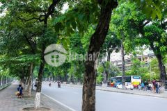 Bán nhà riêng mặt phố kim mã ba đình 270 tỷ diện tích 600m2,mua bán nhà mặt phố kinh doanh kim mã