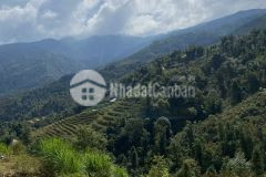 Bán mảnh đất sapa có diện tích 652m2, view thung lũng ruộng bậc thang