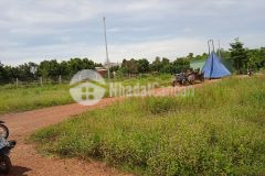 Còn 1 sào duy nhất đồng nai