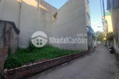 Bán đất phố tư đình, ô tô thông, kinh doanh, 41m2, mt 4m nhỉnh 3 tỷ