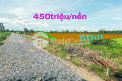 Chính chủ giá bán siêu rẻ 1000m2 chỉ 450triệu tại đức huệ đường ô tô, hỗ trợ vay ngân hàng.