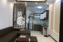 Nhà ngõ 92 mai động,15 gốc đề cạnh cc feliz homes