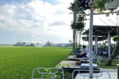 1100m2 view đồng lúa cực đẹp để làm nhà vườn tại hòa khương giá quá rẻ