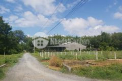 Chỉ cần 200 triệu anh chị đã sở hữu một lô đất tại khu công nghiệp gò dầu tây ninh