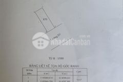 Lô đất sở văn hóa thông tin diện tích 100m giá ngộp