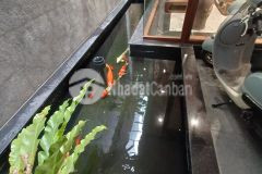 Bán nhà phố đội cấn 16 tỷ 80m2, 7t, mt6.9m ô tô vào nhà an sinh đỉnh gần lăng bác