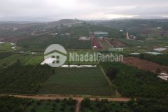 Bán đất 600 triệusào tại hoài đức, lâm hà, lâm đồng